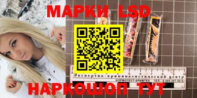 хмурый Будённовск