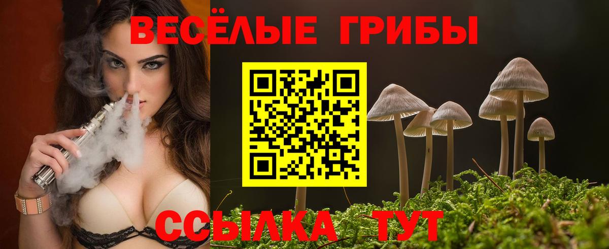 Псилоцибиновые грибы Cubensis Химки